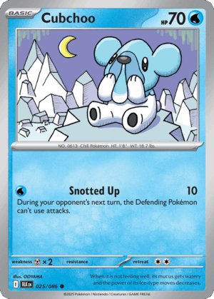 [025/086] – Cubchoo – Black Bolt – Masterball