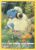 [GG34/70] – Mareep – Crown Zenith Galarian Gallery – Galarian Gallery